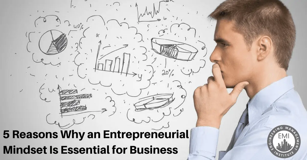 entrepreneurial mindset