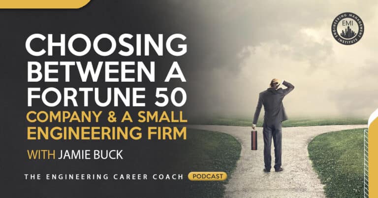 Choosing Between a Fortune 50 Company and a Small Engineering Firm