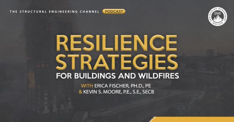 resilience strategies