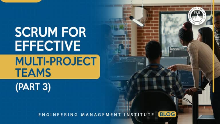 Multi-Project Teams