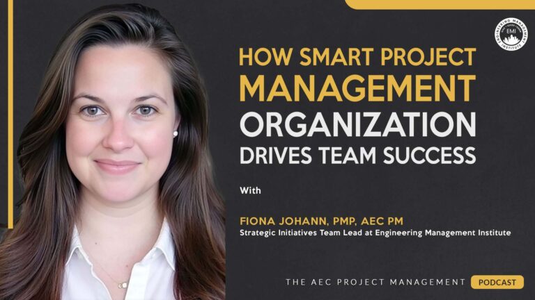 project management organization