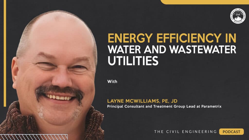energy efficiency utilities